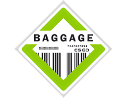 Baggage Collection